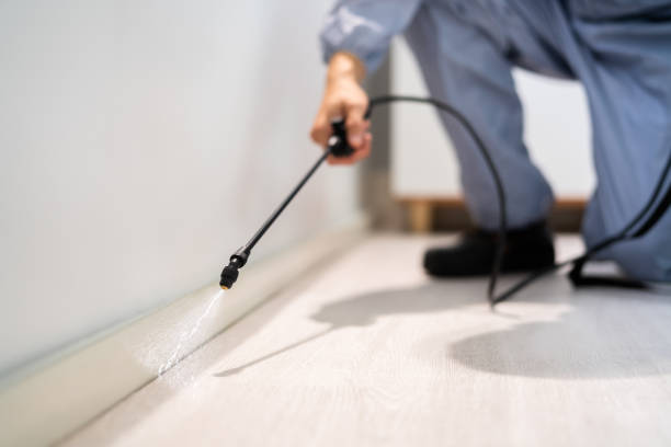 Licensed Rodent Control service in Chester, WV - Nex Pest Control