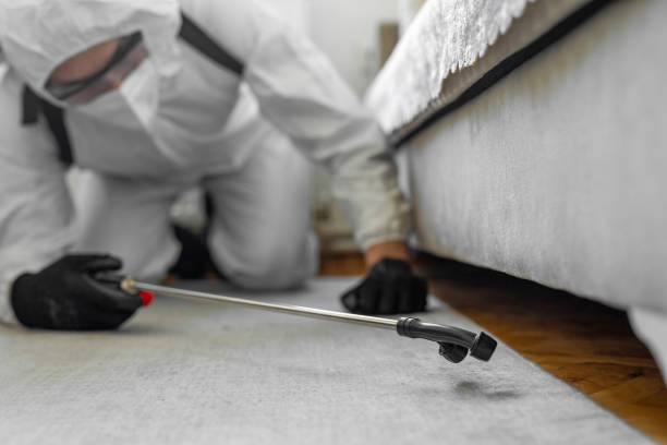 Professional Rodent Control technician working in Chester, WV