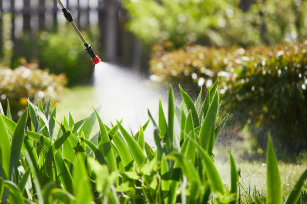 24/7 Emergency Rodent Control experts in Chester, WV