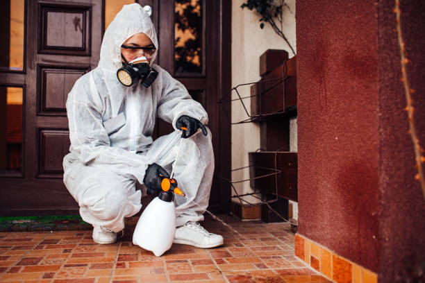 Reliable Rodent Control contractor in Chester, WV by Nex Pest Control