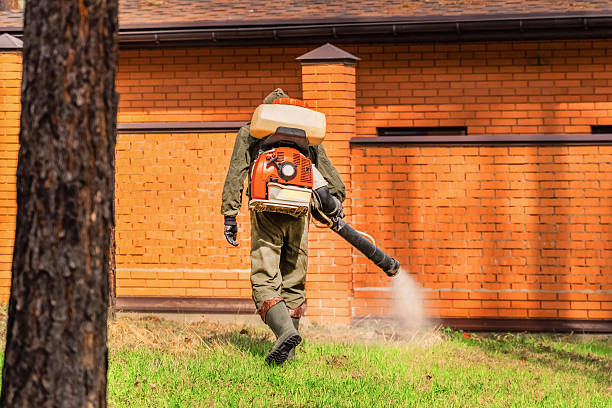 Trusted Rodent Control service in Chester, WV - Nex Pest Control